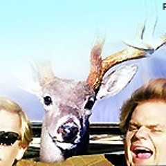 RUN RUN RUDOLPH ,The Seatbelts , Detroit FREE DOWNLOAD