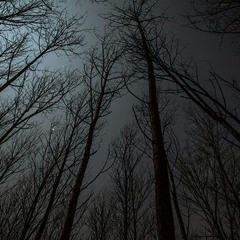 Sweaty Dream (Sneak Preview)