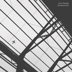 WLS15 - STEVE MURPHY - PURIFICATION EP