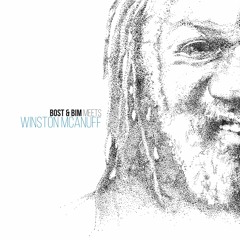 I Won't be Afraid (Bost&Bim Feat Winston McAnuff)