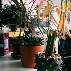 Wants/Needs