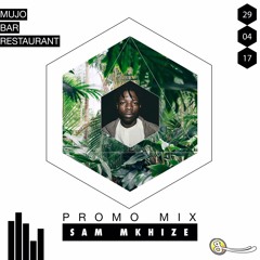 Sam Mkhize Promo Mix [29|04|2017]