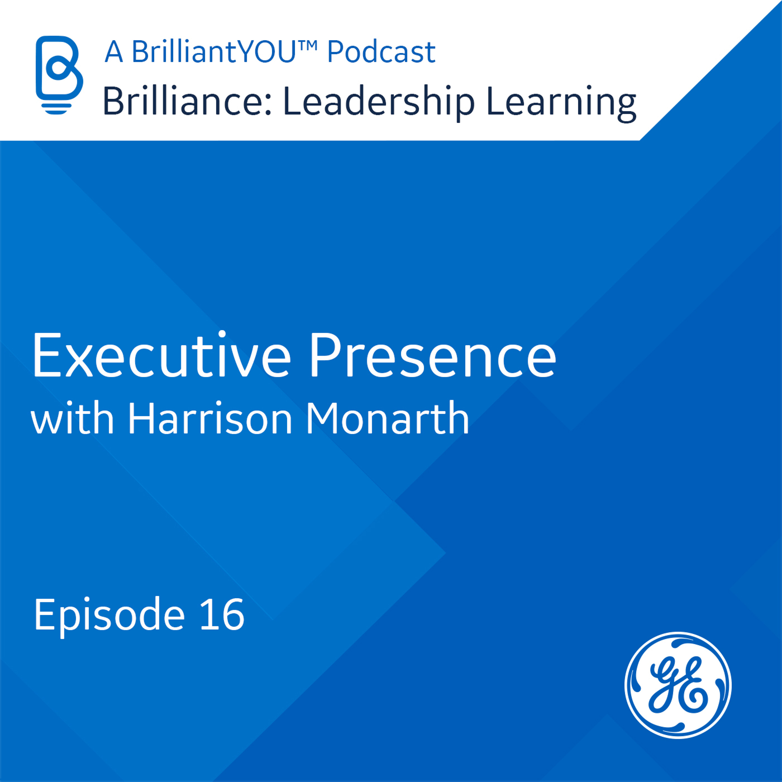 Brilliance: Leadership Learning