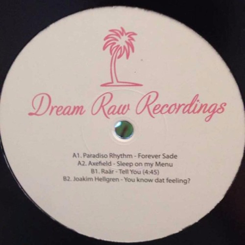 12" V/A DRR006 w/ Paradiso Rhythm, Axefield, Raär, Joakim Hellgren (OUT NOW!!!)