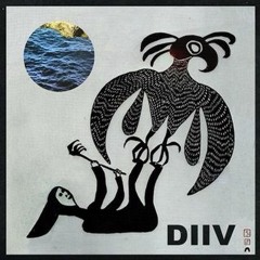 DIIV - Earthboy (Acoustic Cover)