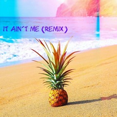 It Aint Me (REMIX)