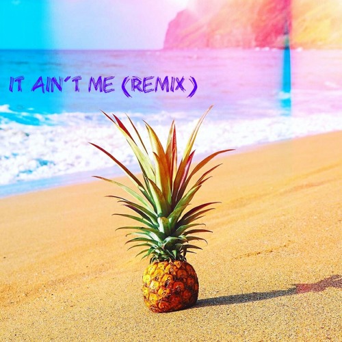 It Aint Me (REMIX)
