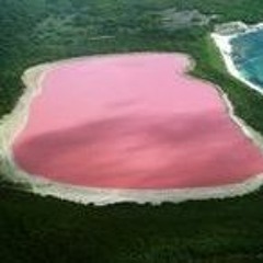 PINK SUGAR ( ORIGINAL MIX DJ SCO )