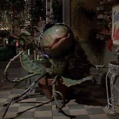 Little Shop of Horrors- FEED ME