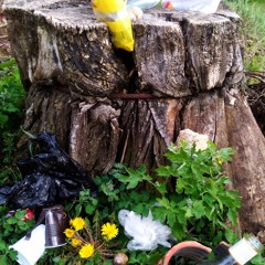 Divergence a Asymbióza (Divergence & Asymbiosis)