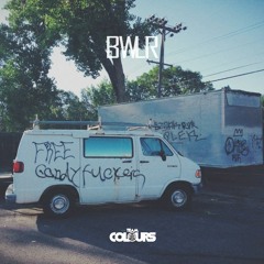 Vegan Now And Laterz