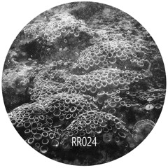 Initial - Coral (Groenendal, Nik Ros Remix)