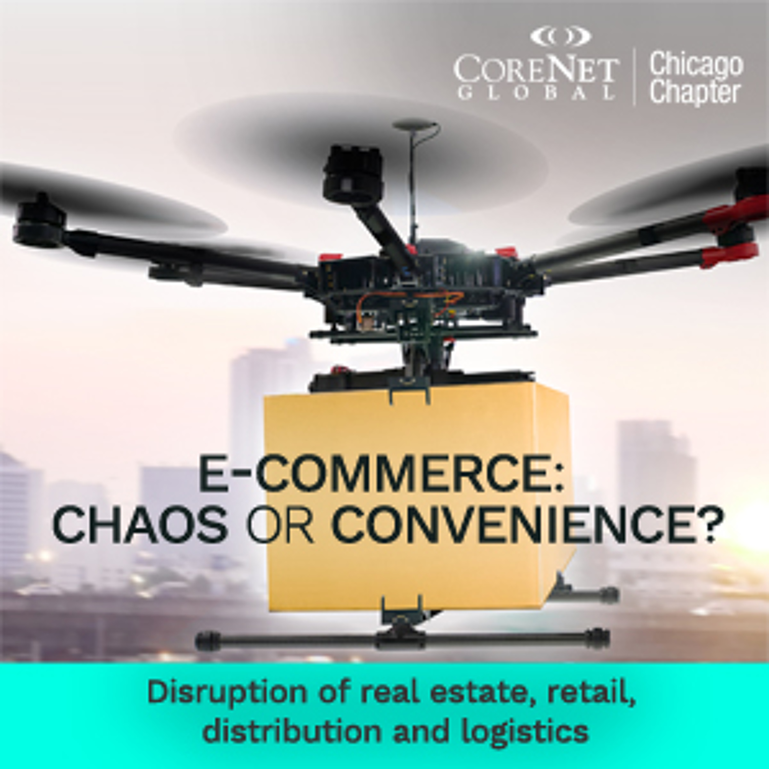 e-Commerce: Chaos or Convenience? - Chicago Luncheon Apr 13, 2017