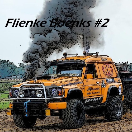 Flienke Boenks 2 (van alles wa)