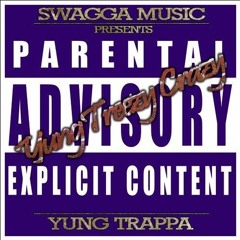 YungTreezyCrazy (2011 mixtape)