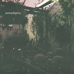 serendipity - [BeatTape]
