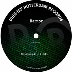 DSR021 - Raptor - Cold Outside / 1 Out Of 8 [Previews]