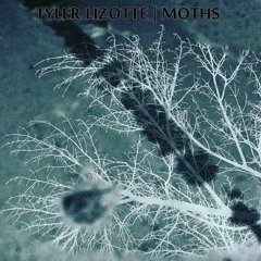 Tyler Lizotte's Official Release of MOTHS