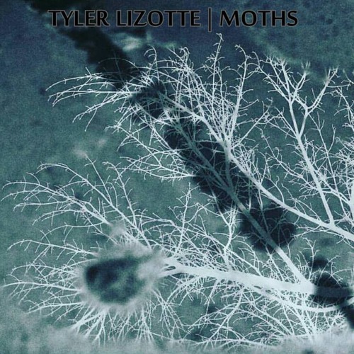 Tyler Lizotte's Official Release of MOTHS