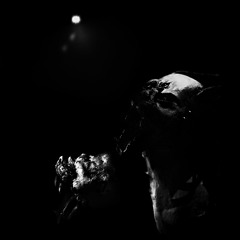 Restive Plaggona - Sanctuary