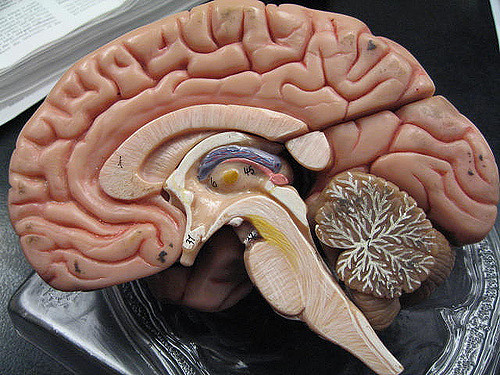 Traumatic Brain Injury (TBI) and hormone deficiencies - DrG talks with Dr. Mark Gordon episode artwork