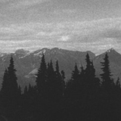 Human Rays - Manual Litany (Dold Rework)