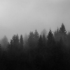 Cold Prod.(ETHANFIFTYONE)