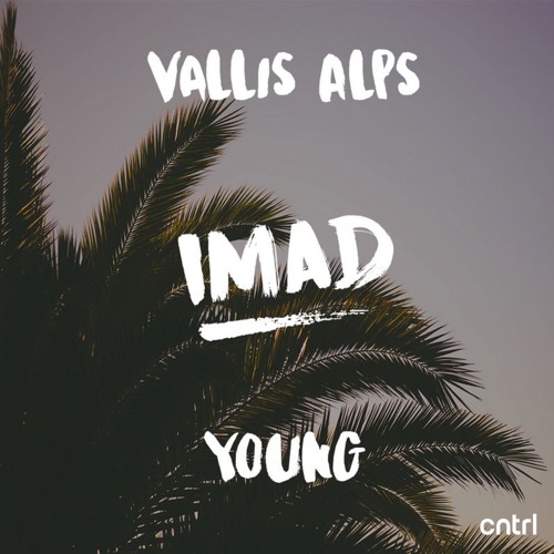 Vallis Alps - Young (Imad Remix)