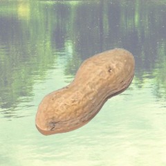 Finna Nut (Prod. Kid Ocean)