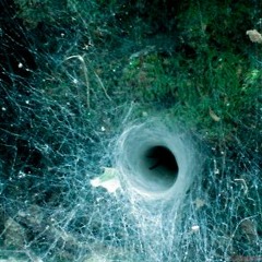 Annulus
