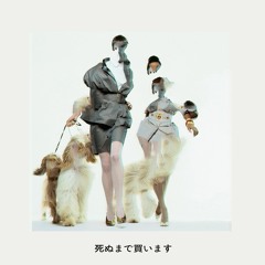 Pwrcut - 死ぬまで買います