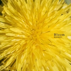 Bloom Xfd