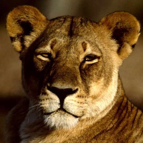 Change My Life (Yah in Me) by Daughters of Zion ft. ShoshanaYAH