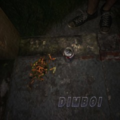 Conclusions: A (Re)Direct Continuation of One Dreary Thought