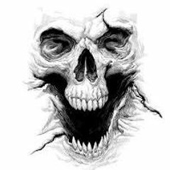 Cala - Vera  X Eiidiictu$