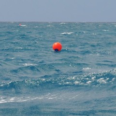 In My Life - Cover by Zoe Spearman