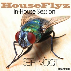 Seth Vogt - HouseFlyz (In-House Session 001)
