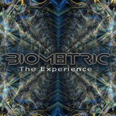 The Experience
