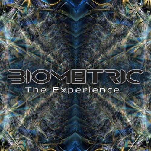 The Experience