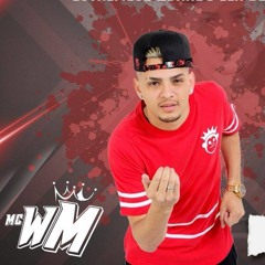 MC WM - Hoje Eu Não To Bom - Medley 2 ( DJ Will o Cria e DJ Gege ) Lançamento 2017