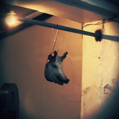 ANGANOYSE -  A VER REVIRE!