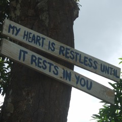 Young While Restless