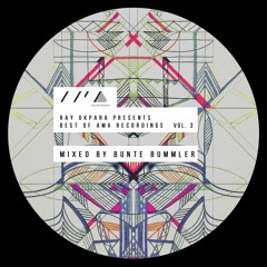Ray Okpara & Bunte Bummler - LowFo AmaComp003