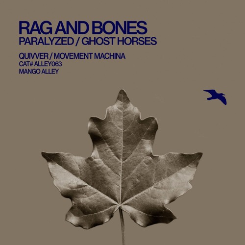 Rag and Bone by Michael Nava Rag and Bone by Michael Nava