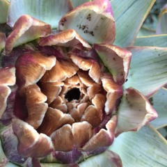 Slightly More Unhinged