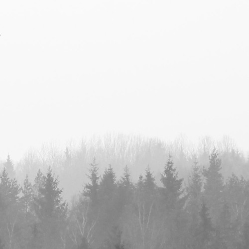 Deep Vibes Session #05 [Apr2017]