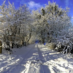 Stay On These Roads  - a-ha Symphonic Cover WITH Morten Harket & Anneli Drecker