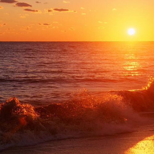 sunset vibe