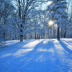 Hud Mo x Cash Cat x Wiley - Forever 1 Ice Rink (Kaida Blend)