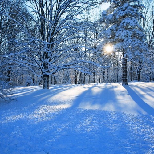 Hud Mo x Cash Cat x Wiley - Forever 1 Ice Rink (Kaida Blend)